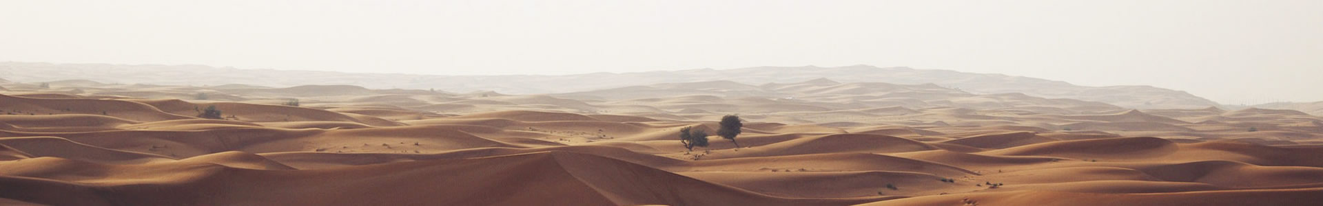 ݻƼ޹˾